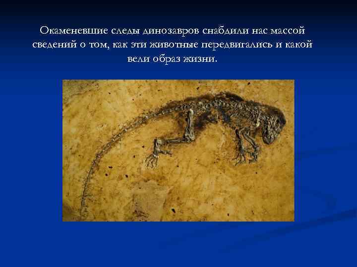  Окаменевшие следы динозавров снабдили нас массой сведений о том, как эти животные передвигались