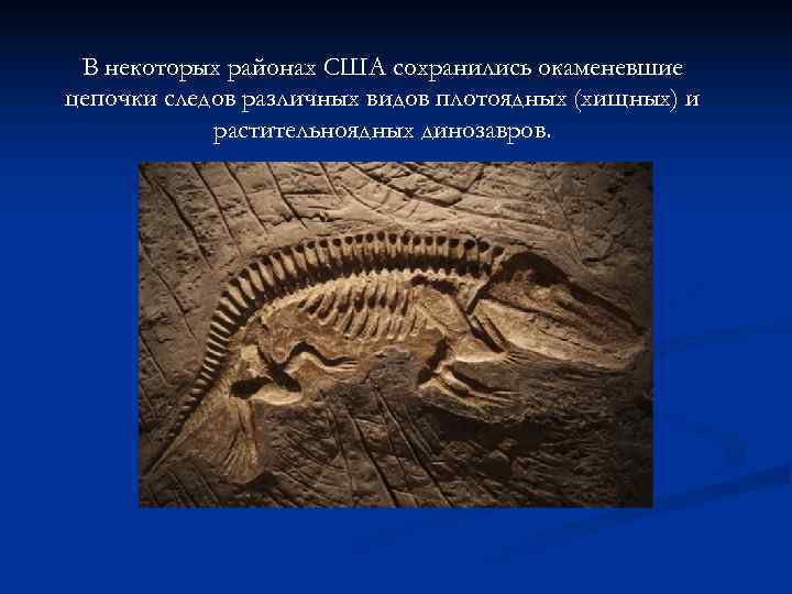  В некоторых районах США сохранились окаменевшие цепочки следов различных видов плотоядных (хищных) и