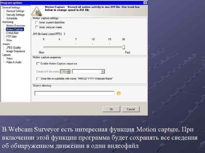 В Webcam Surveyor есть интересная функция Motion capture. При включении этой функции программа будет