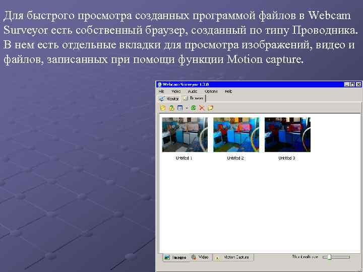 Для быстрого просмотра созданных программой файлов в Webcam Surveyor есть собственный браузер, созданный по