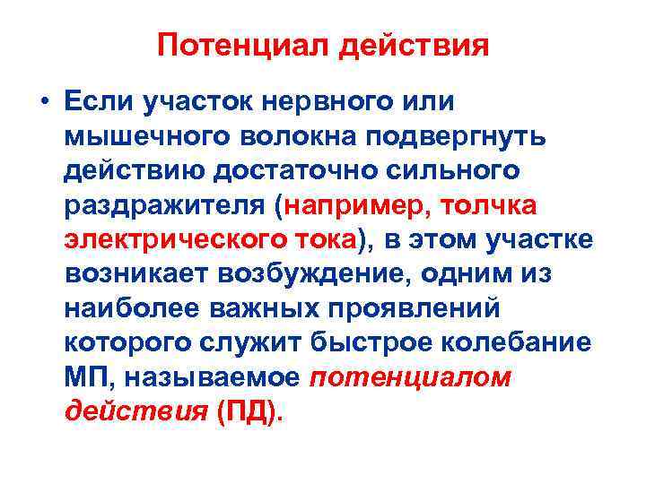   Потенциал действия • Если участок нервного или  мышечного волокна подвергнуть 