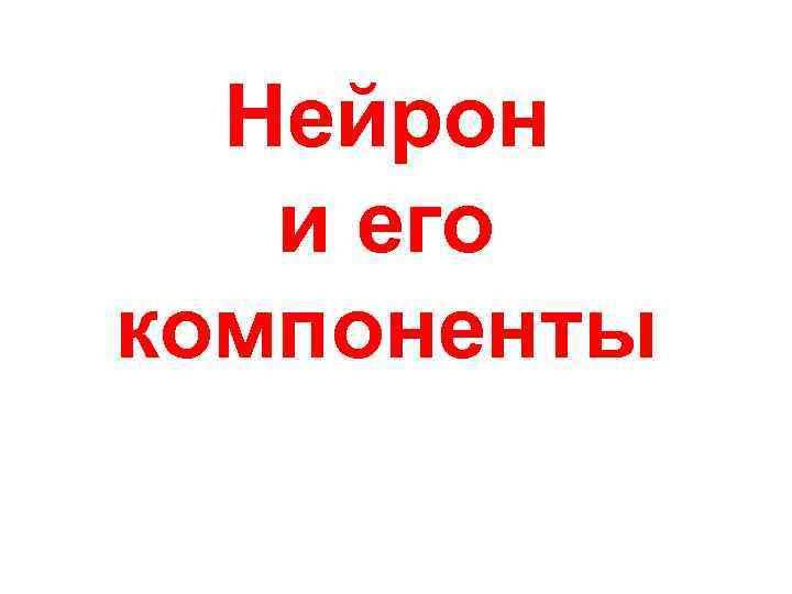  Нейрон и его компоненты 