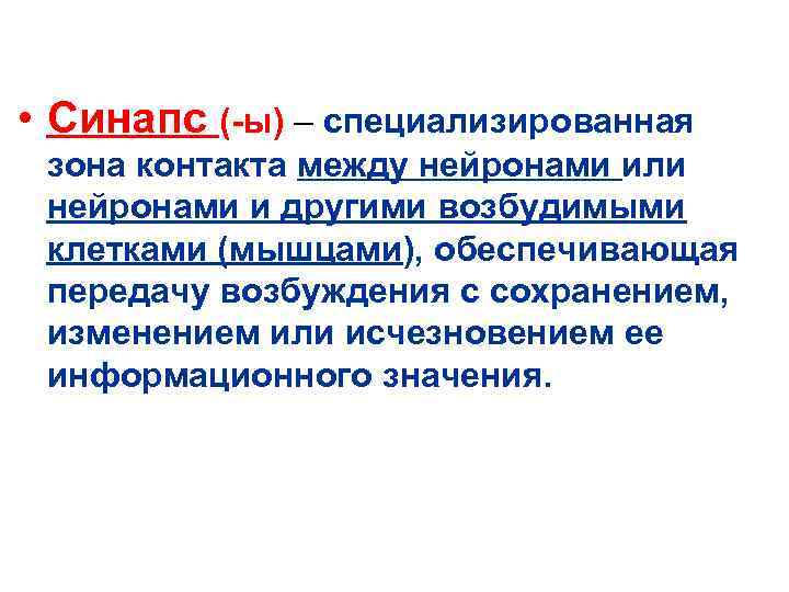  • Синапс (-ы) – специализированная  зона контакта между нейронами или  нейронами