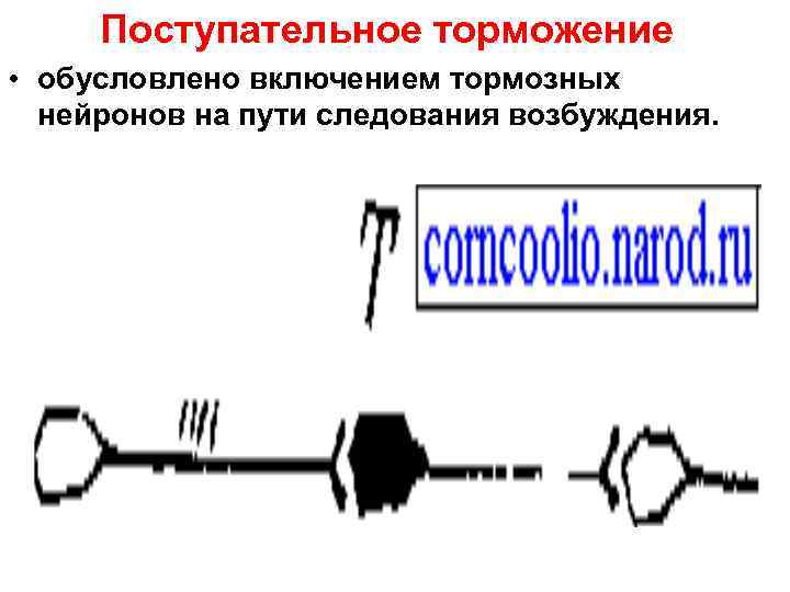  Поступательное торможение • обусловлено включением тормозных  нейронов на пути следования возбуждения. 