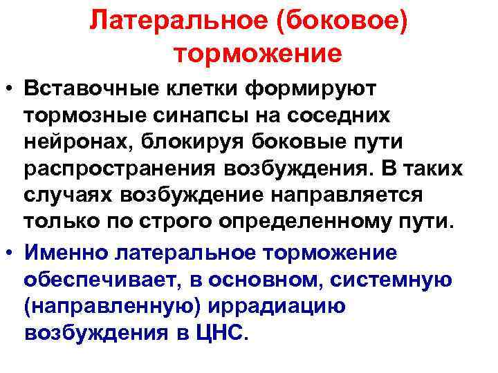   Латеральное (боковое)   торможение • Вставочные клетки формируют  тормозные синапсы