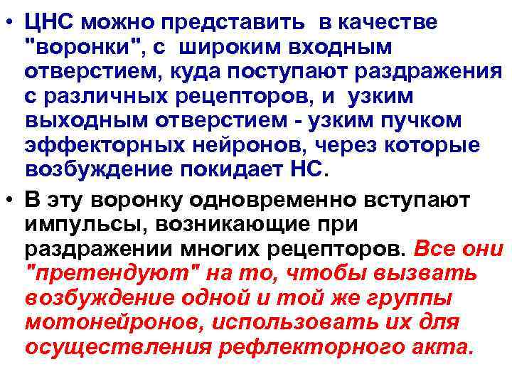  • ЦНС можно представить в качестве  