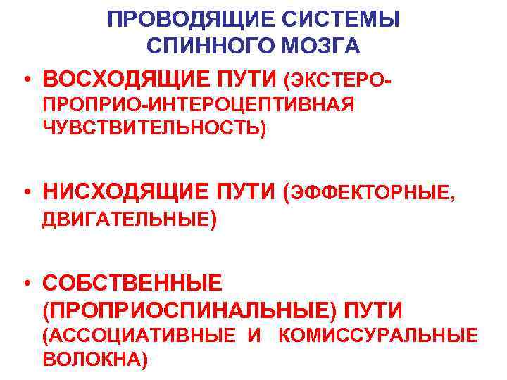  ПРОВОДЯЩИЕ СИСТЕМЫ   СПИННОГО МОЗГА • ВОСХОДЯЩИЕ ПУТИ (ЭКСТЕРО-  ПРОПРИО-ИНТЕРОЦЕПТИВНАЯ 