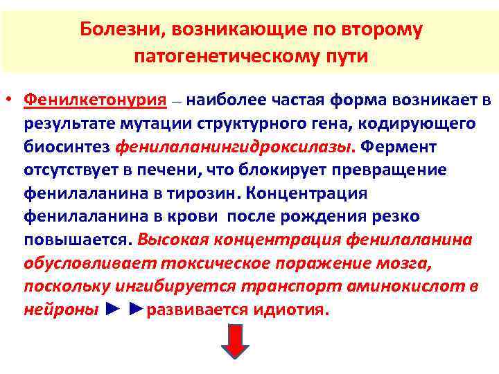   Болезни, возникающие по второму    патогенетическому пути • Фенилкетонурия —