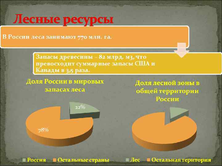   Лесные ресурсы В России леса занимают 770 млн. га.   Запасы