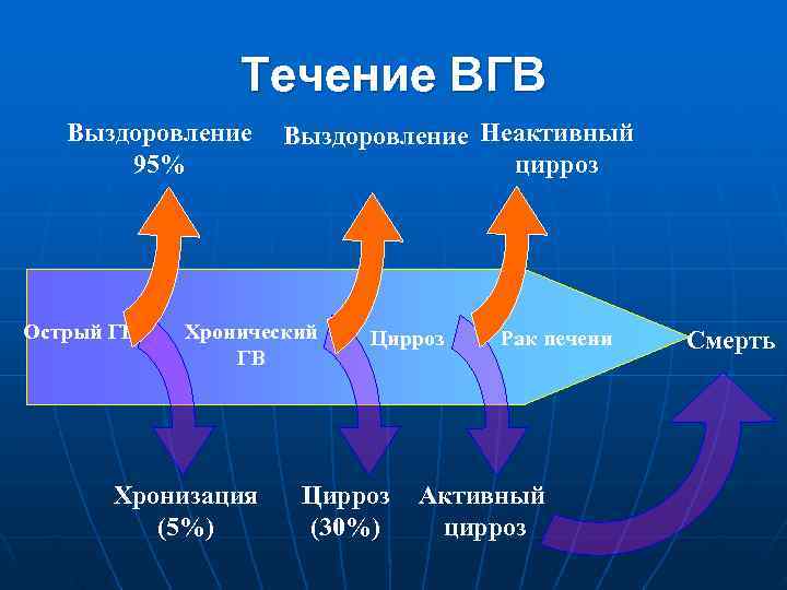     Течение ВГВ  Выздоровление Неактивный  95%   