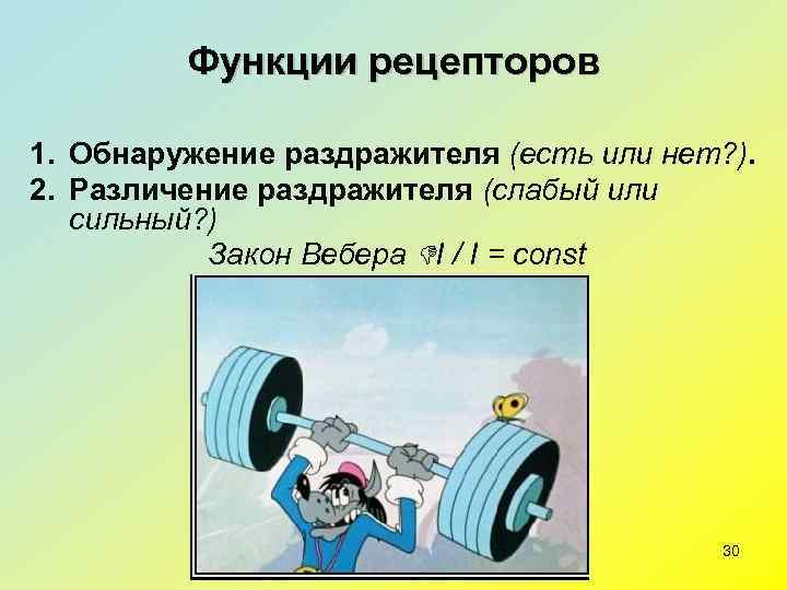    Функции рецепторов 1. Обнаружение раздражителя (есть или нет? ). 2. Различение