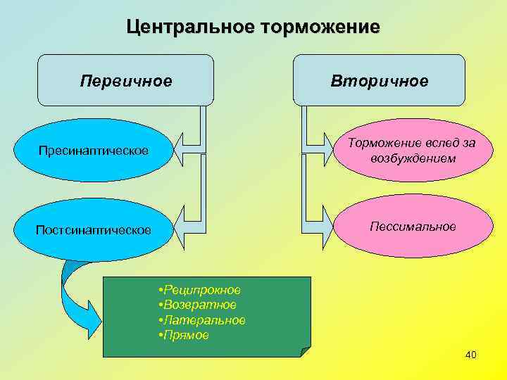    Центральное торможение  Первичное    Вторичное   