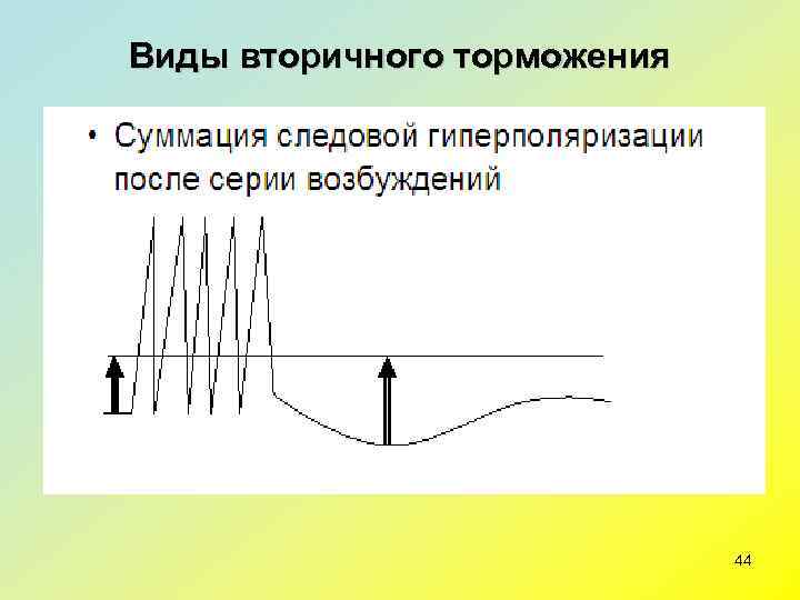 Виды вторичного торможения       44 