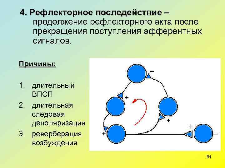 4. Рефлекторное последействие –    последействие продолжение рефлекторного акта после прекращения поступления
