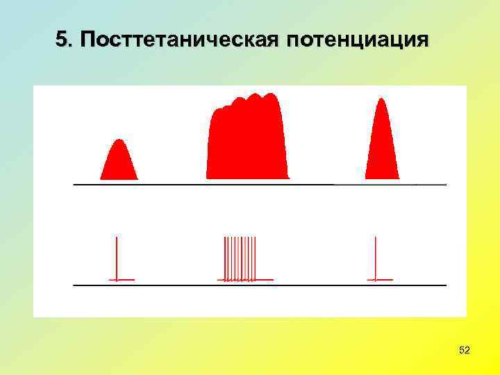 5. Посттетаническая потенциация    52 