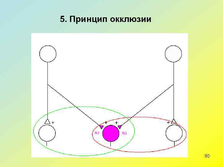 5. Принцип окклюзии     60 