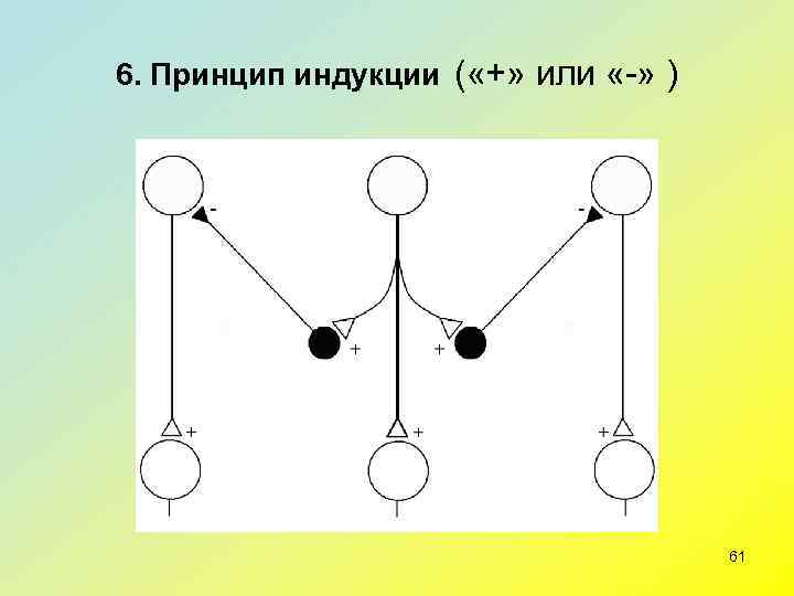 6. Принцип индукции ( «+» или «-» )      