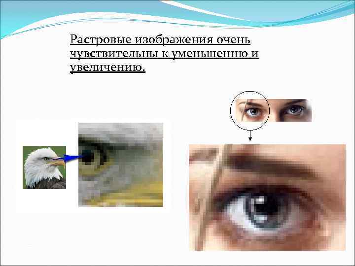 Растровые изображения очень чувствительны к уменьшению и увеличению. Растровые изображения очень чувствительны к уменьшению и увеличению.