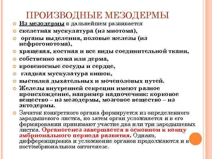  ПРОИЗВОДНЫЕ МЕЗОДЕРМЫ Из мезодермы в дальнейшем развивается скелетная мускулатура (из миотома),  органы