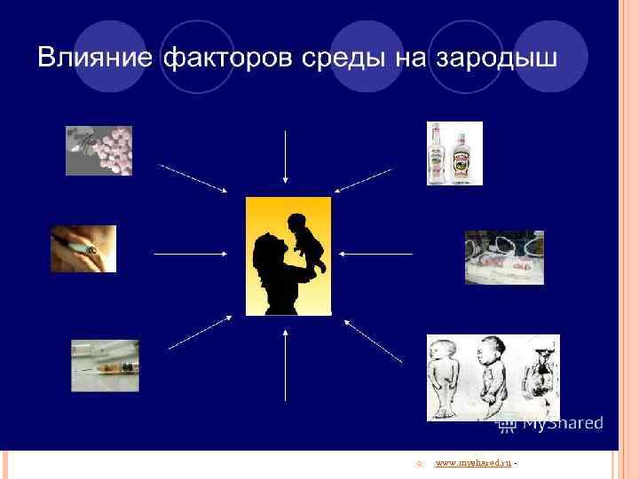   www. myshared. ru - 