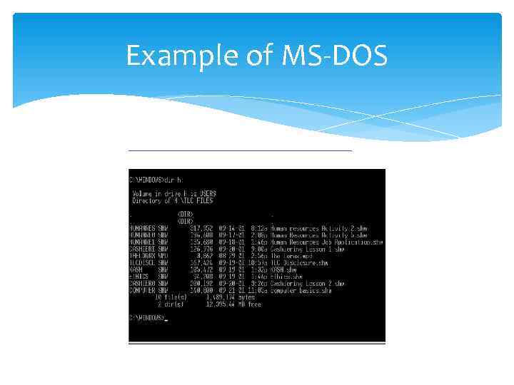 Example of MS-DOS 