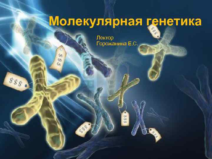 Молекулярная генетика Лектор Горожанина Е. С. Молекулярная генетика Лектор Горожанина Е. С.