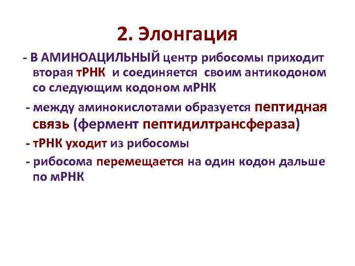 2. Элонгация - В АМИНОАЦИЛЬНЫЙ центр рибосомы приходит вторая т. 2. Элонгация - В АМИНОАЦИЛЬНЫЙ центр рибосомы приходит вторая т.