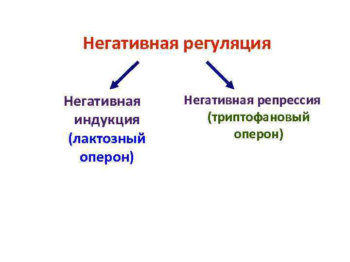 Негативная регуляция Негативная репрессия индукция (триптофановый (лактозный оперон) Негативная регуляция Негативная репрессия индукция (триптофановый (лактозный оперон)