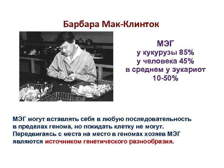 Барбара Мак-Клинток МЭГ Барбара Мак-Клинток МЭГ