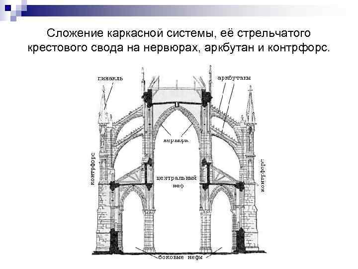   Сложение каркасной системы, её стрельчатого крестового свода на нервюрах, аркбутан и контрфорс.