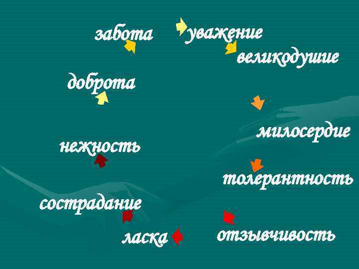  забота уважение     великодушие  доброта    