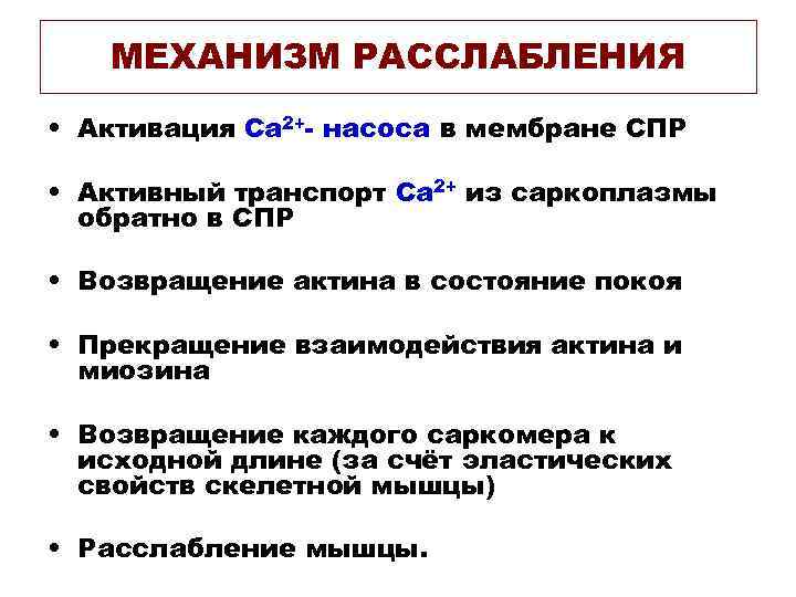 МЕХАНИЗМ РАССЛАБЛЕНИЯ • Активация Са 2+- насоса в мембране СПР • МЕХАНИЗМ РАССЛАБЛЕНИЯ • Активация Са 2+- насоса в мембране СПР •