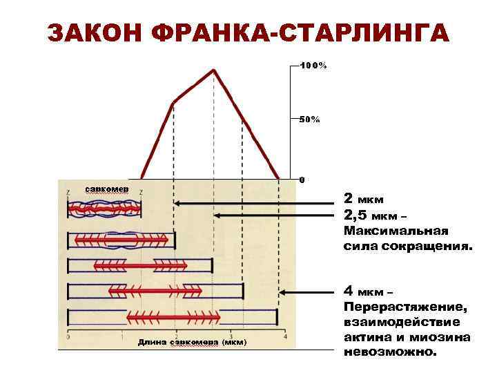 ЗАКОН ФРАНКА-СТАРЛИНГА 2 мкм 2, 5 мкм – ЗАКОН ФРАНКА-СТАРЛИНГА 2 мкм 2, 5 мкм –