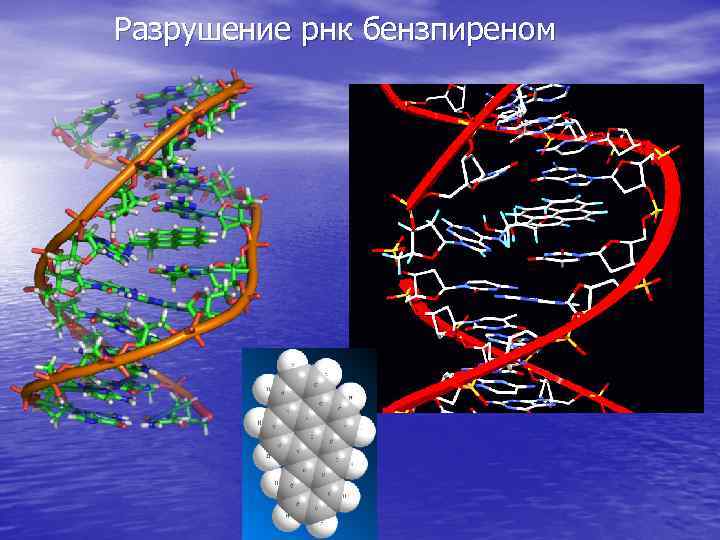 Разрушение рнк бензпиреном 