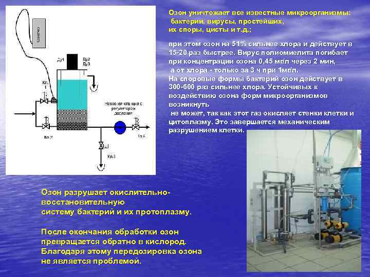       Озон уничтожает все известные микроорганизмы:   