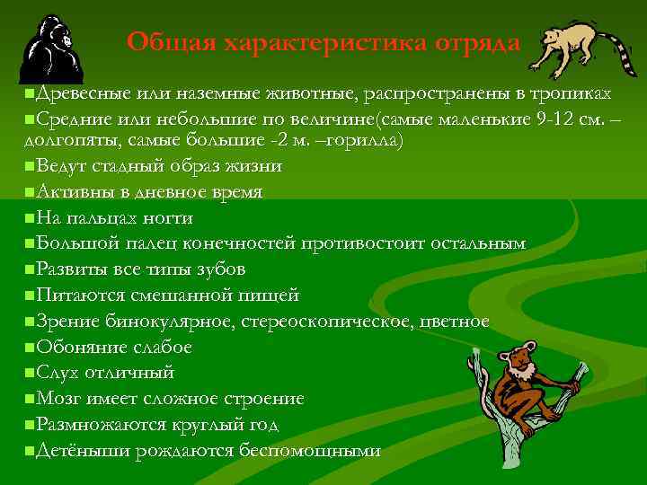    Общая характеристика отряда n. Древесные или наземные животные, распространены в тропиках