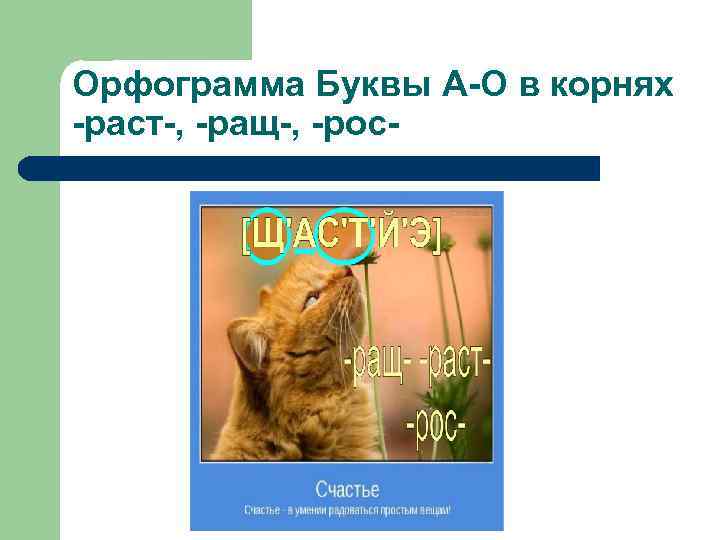 Орфограмма Буквы А-О в корнях -раст-, -ращ-, -рос- 