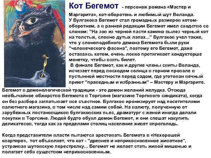      Кот Бегемот - персонаж романа «Мастер и  