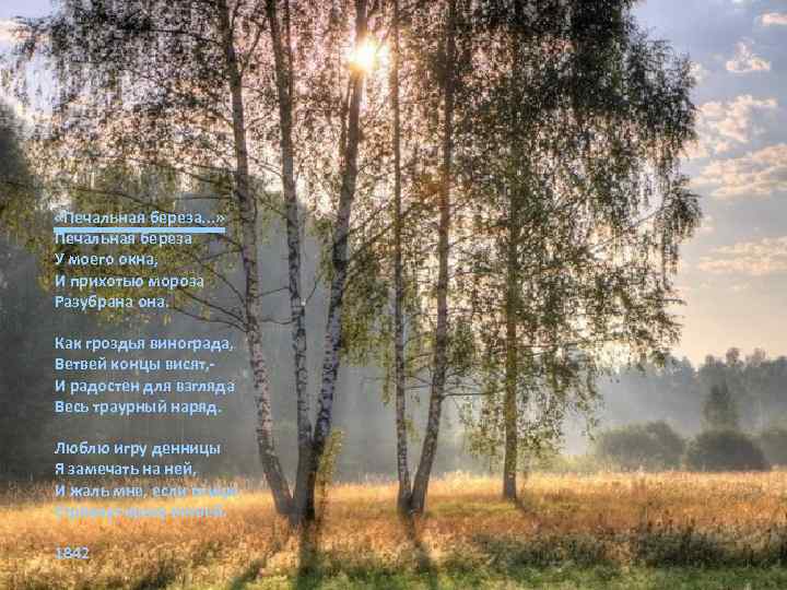  «Печальная береза. . . » Печальная береза У моего окна, И прихотью мороза