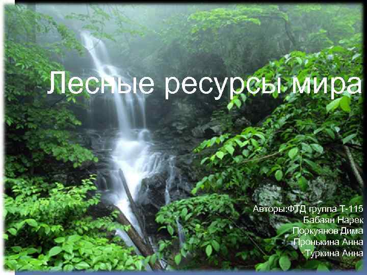 Лесные ресурсы мира      Урок географии в 10 классе. 