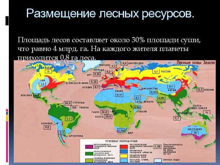  Размещение лесных ресурсов.  Площадь лесов составляет около 30% площади суши, что равно
