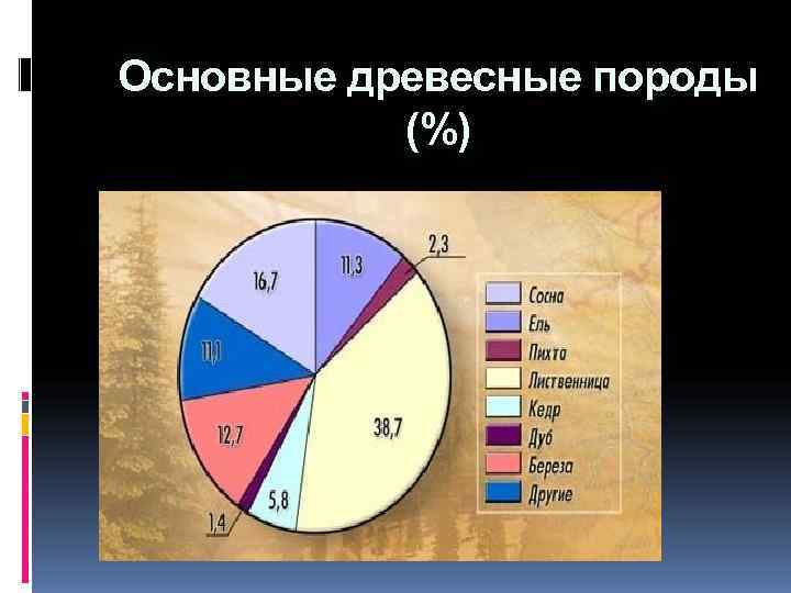 Основные древесные породы  (%) 