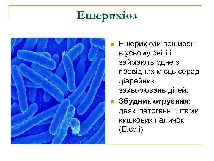 Ешерихіоз  n  Ешерихіози поширені   в усьому світі і  