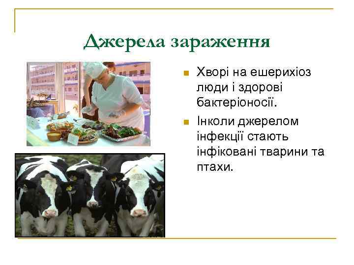 Джерела зараження   n  Хворі на ешерихіоз   люди і здорові