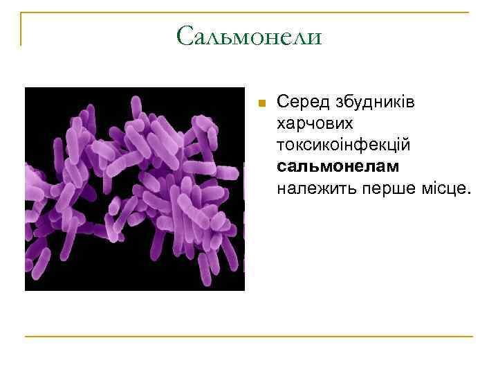 Сальмонели  n  Серед збудників   харчових   токсикоінфекцій  
