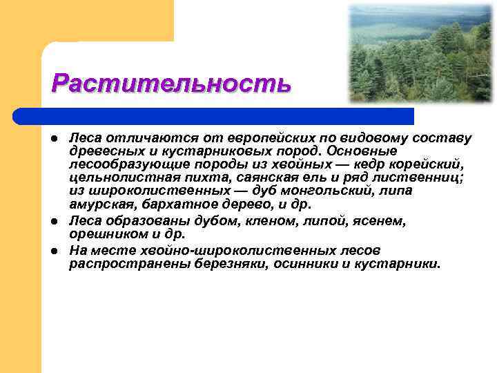 Растительность l  Леса отличаются от европейских по видовому составу древесных и кустарниковых пород.