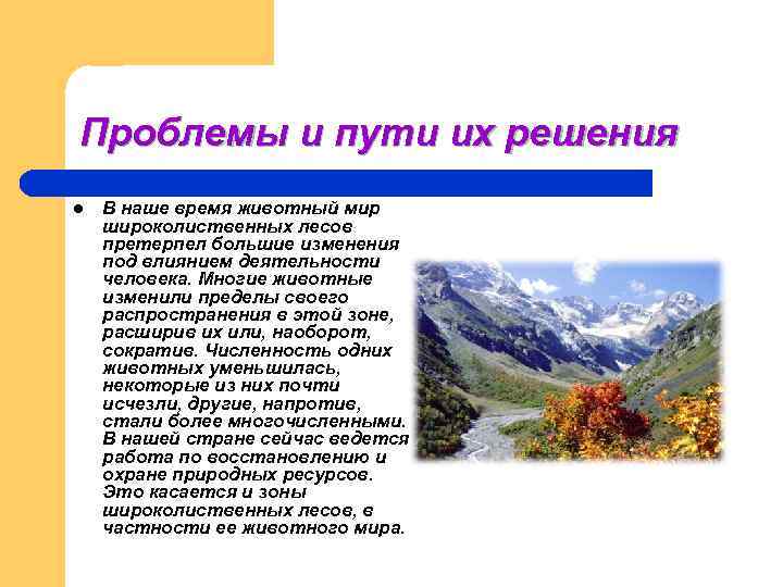 Проблемы и пути их решения l  В наше время животный мир широколиственных лесов