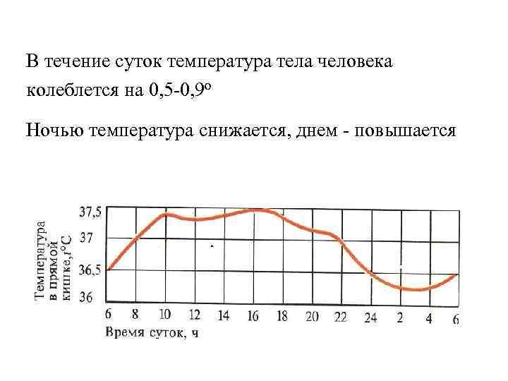 Самая низкая температура в сутках. График температуры тела человека в течении суток. Изменение температуры тела в течение дня. График суточной температуры тела человека. Температура тела в течение дня.