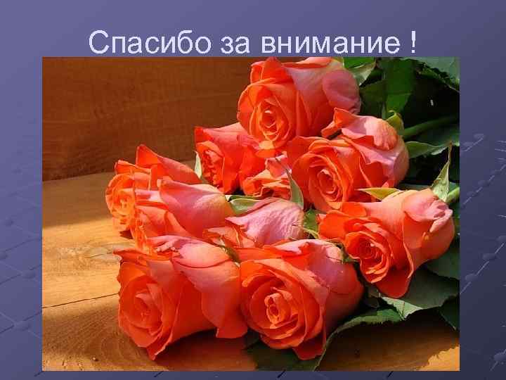 Спасибо за внимание ! 