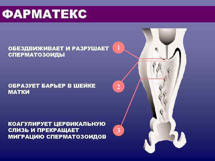 ФАРМАТЕКС ОБЕЗДВИЖИВАЕТ И РАЗРУШАЕТ 1 СПЕРМАТОЗОИДЫ ОБРАЗУЕТ БАРЬЕР В ШЕЙКЕ 2 МАТКИ КОАГУЛИРУЕТ ФАРМАТЕКС ОБЕЗДВИЖИВАЕТ И РАЗРУШАЕТ 1 СПЕРМАТОЗОИДЫ ОБРАЗУЕТ БАРЬЕР В ШЕЙКЕ 2 МАТКИ КОАГУЛИРУЕТ